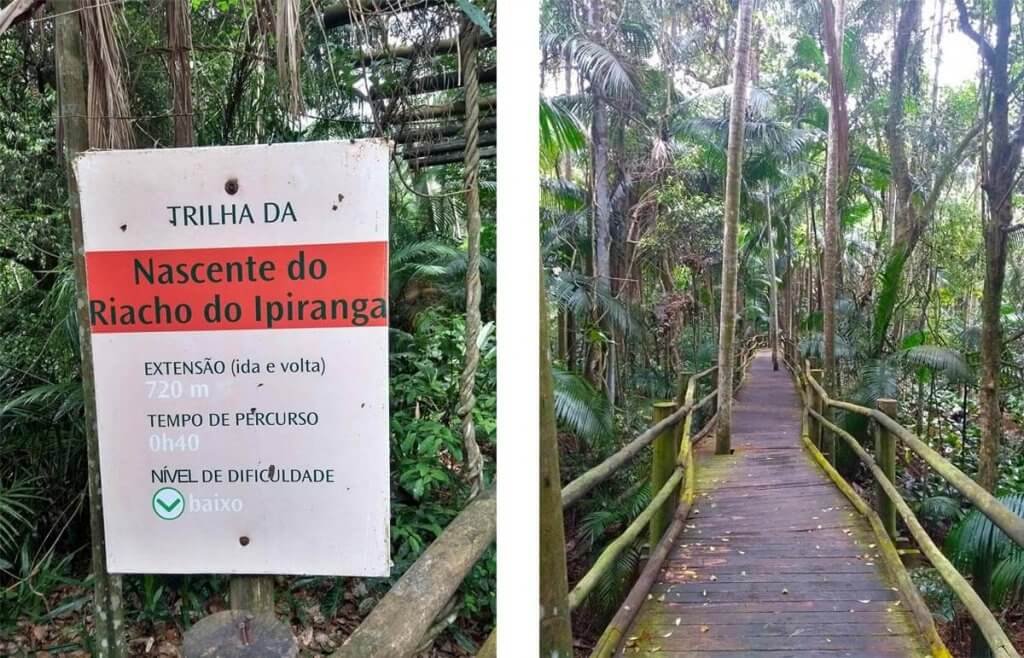 Trilha acompanha a nascente do Riacho Ipiranga