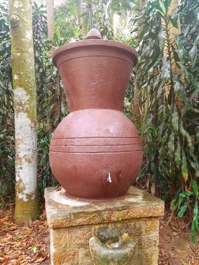 Moringa gigante para abastecer garrafinhas de água